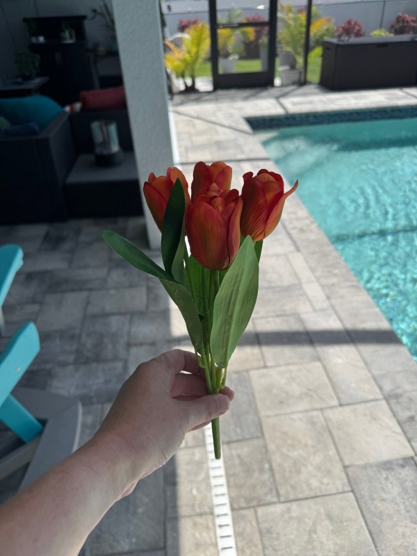 Beautiful 5 Bloom Orange Tulip Bunch