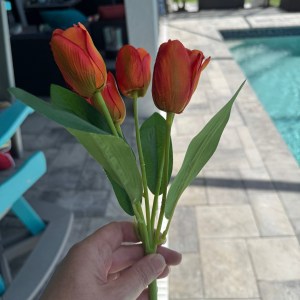 Beautiful 5 Bloom Orange Tulip Bunch