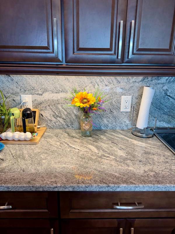 Lifestyle picture of orange sunflower